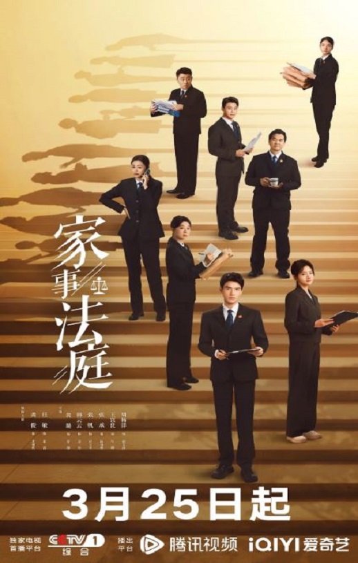 2026年国产电视剧《家事法庭》