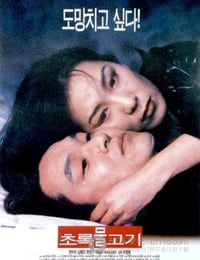 1997年韩国电影《초록물고기》